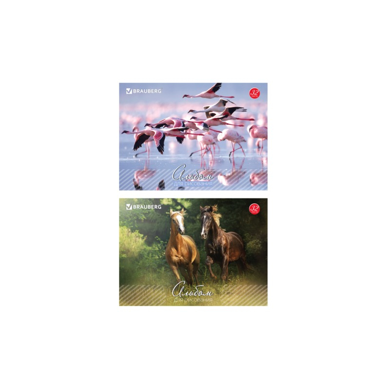 Альбом для рисования, 32 л., BRAUBERG обложка мелованный картон, "Живая природа", 2 вида, 103683