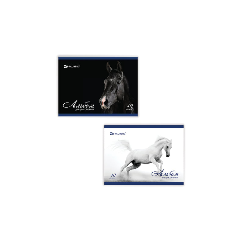 Альбом для рисования, 40 л., BRAUBERG обложка мелованный картон, 100 г/м2, "Благородные кони", 2 вида, 103728