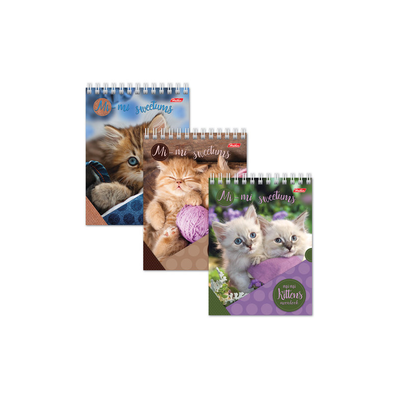 Блокнот А6, 40 л., гребень, лакированная обложка, Hatber "Милые котята", 110х145 мм, 40Б6B1гр, В12291