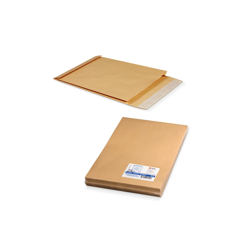 КУРТ Конверт-пакет В4 объемный, комплект 25 шт., 250х353х40 мм, отрывная полоса, крафт-бумага, коричневый, на 300 листов, 391157.25