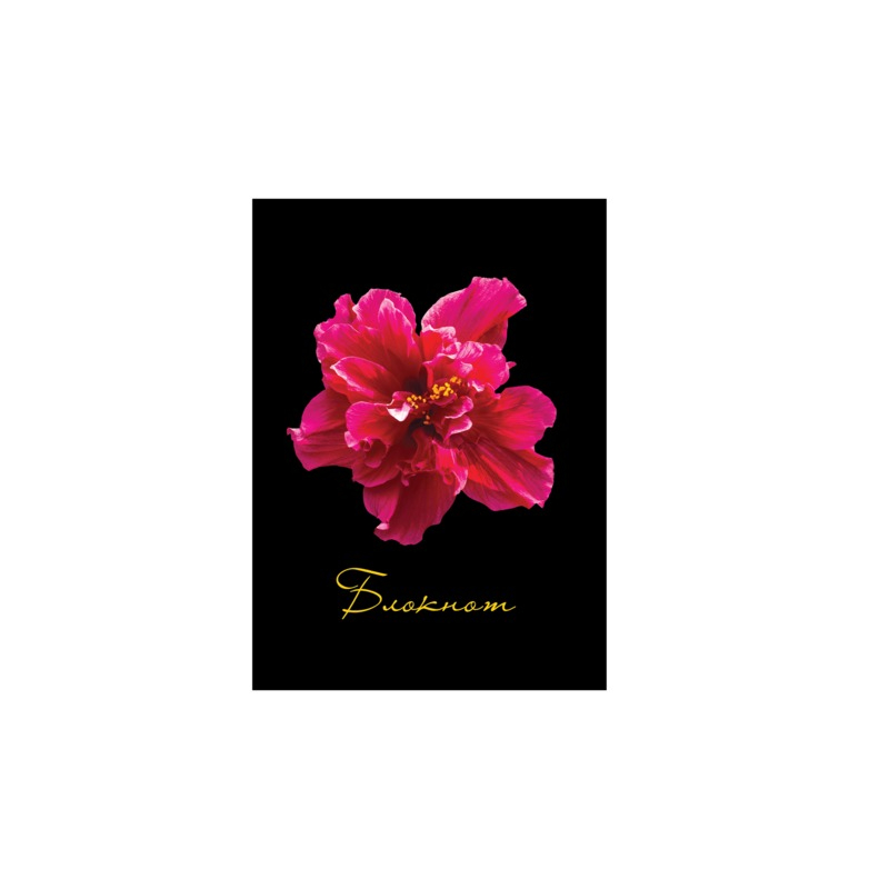 Блокнот 7БЦ, А6, 80 л., обложка ламинированная, клетка, STAFF "Красный цветок на черном", 110х147 мм, 127212
