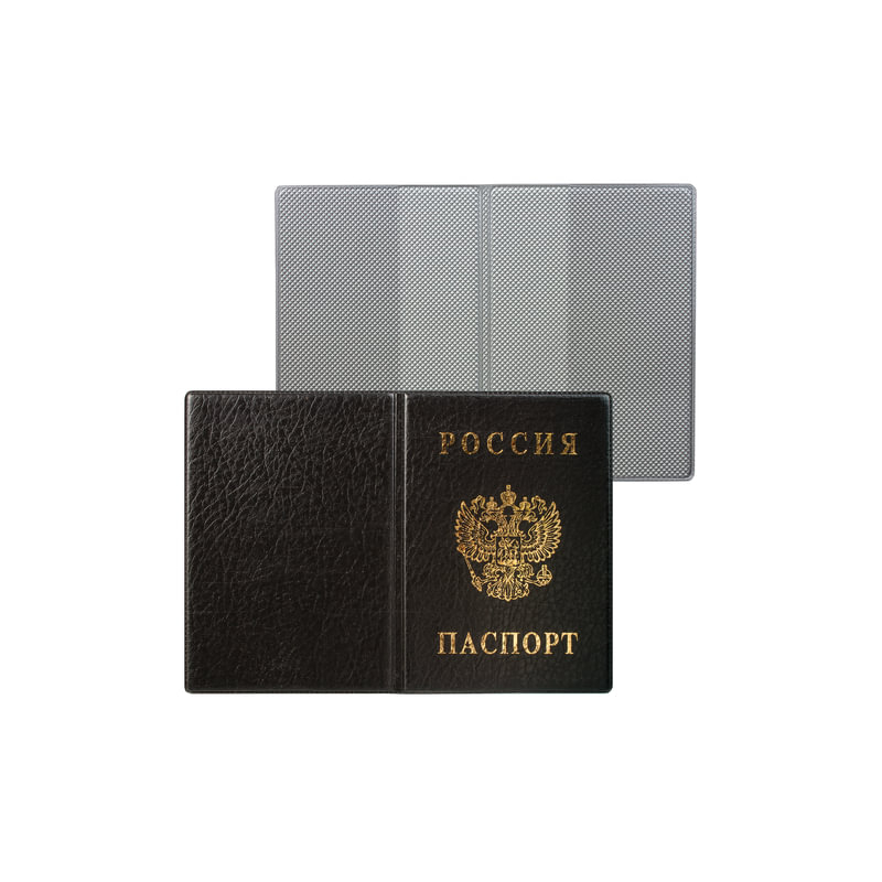 Обложка для паспорта России, вертикальная, ПВХ, цвет черный, ДПС 2203.В-107