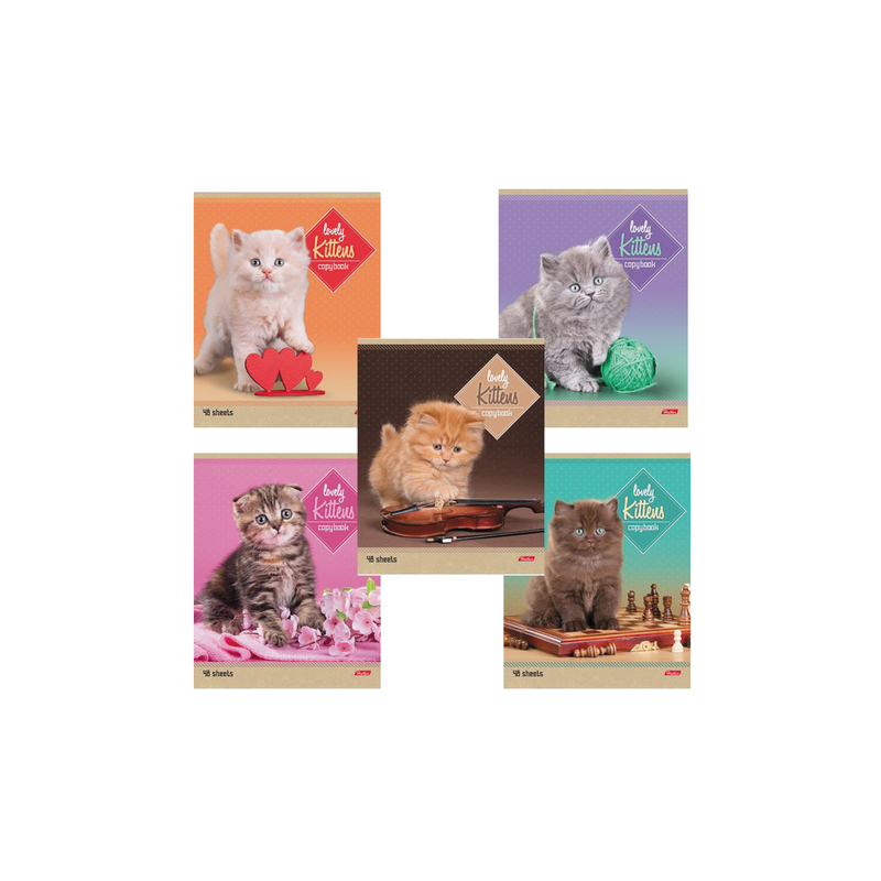 Тетрадь 48 л., Hatber линия, обложка мелованный картон, "Котята", 48Т5В2, T242407