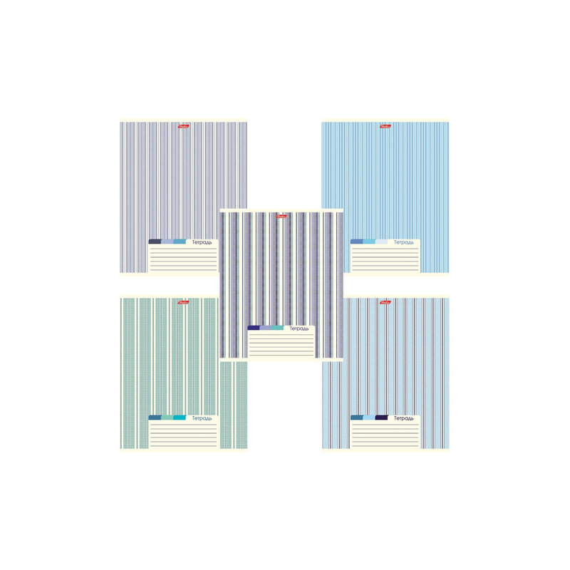 Тетрадь 48 л. Hatber линия, обложка мелованный картон, "LINE", 48Т5В2, T277744