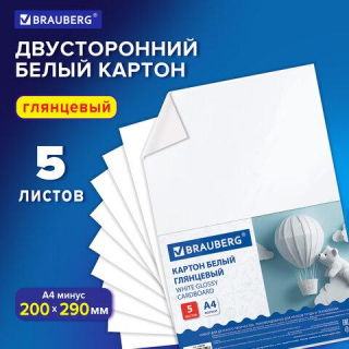Картон белый А4 МЕЛОВАННЫЙ (белый оборот) 5 листов, BRAUBERG 200х290мм, Код 1С, 116626