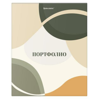 Папка-портфолио универсальная, 4 кольца, 20 файлов 10 вкладышей, 7БЦ матовая, BRAUBERG 117555