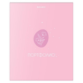 Папка-портфолио универсальная, 4 кольца, 20 файлов 10 вкладышей, 7БЦ матовая, BRAUBERG Дизайн2, 117558