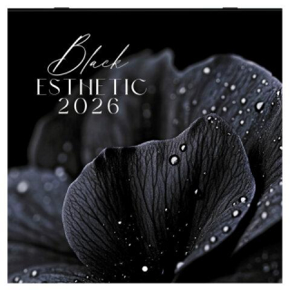 Календарь настенный перекидной 2026г, BRAUBERG 12 листов, 28,5х28,5см, Black esthetic, 116927